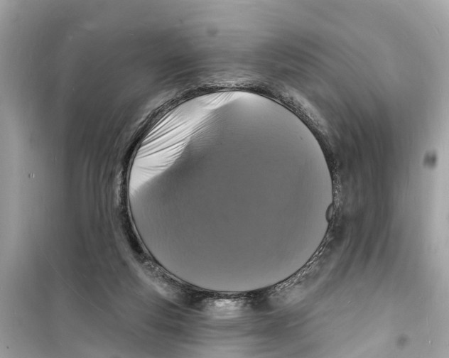 X0000098230163200805221719