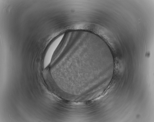 X0000098230164200805221719