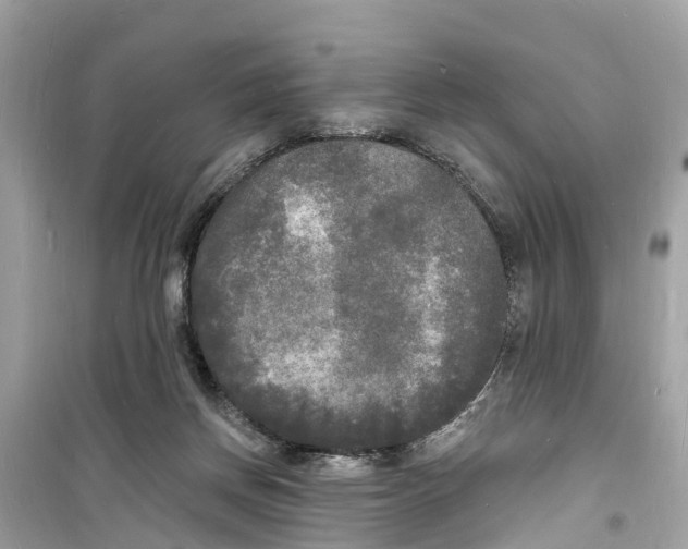 X0000098230166200805221719