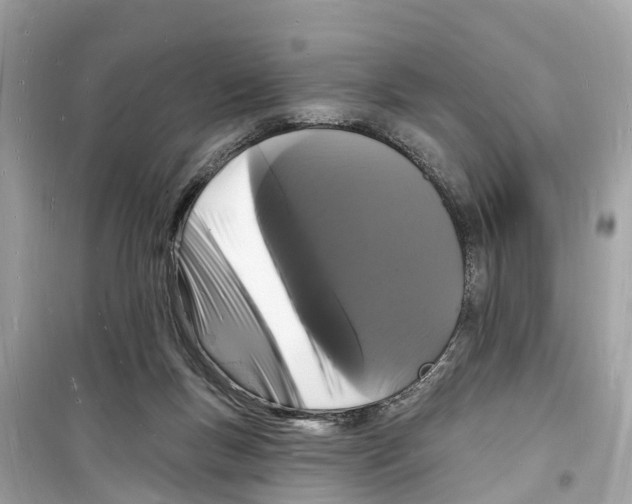 X0000098230167200805221719