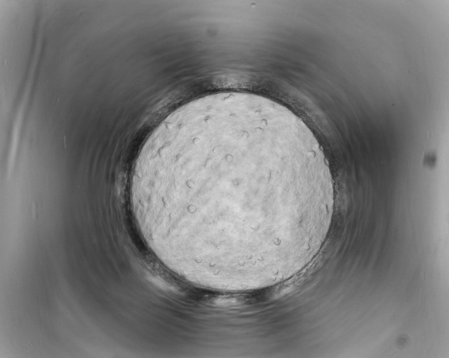 X0000098230171200805221719