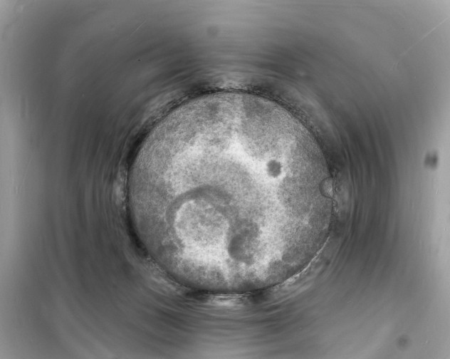 X0000098230175200805221719