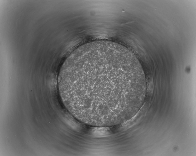 X0000098230179200805221719