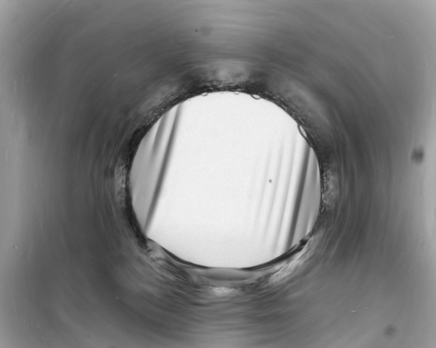 X0000098230184200805221719