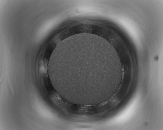 X0000098230190200805221719