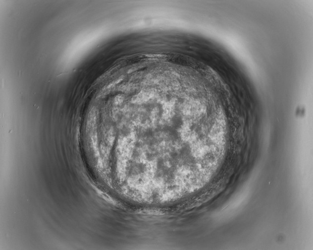 X0000098230194200805221718