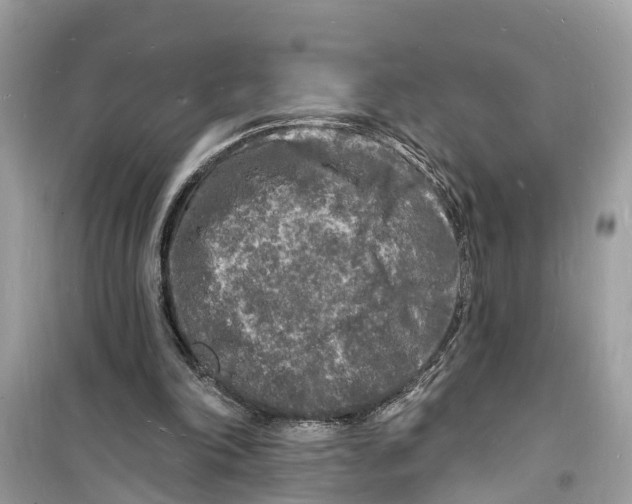 X0000098230198200805221718