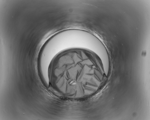 X0000098230199200805221718