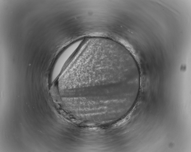 X0000098230201200805221718