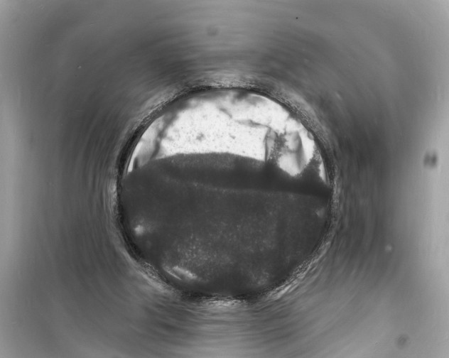 X0000098230202200805221718