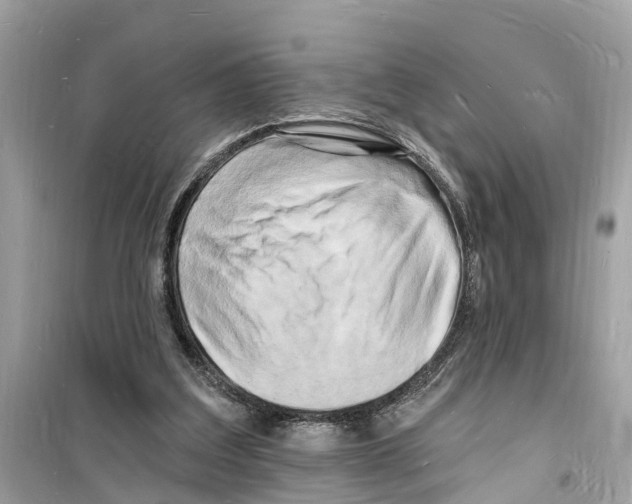 X0000098230203200805221718