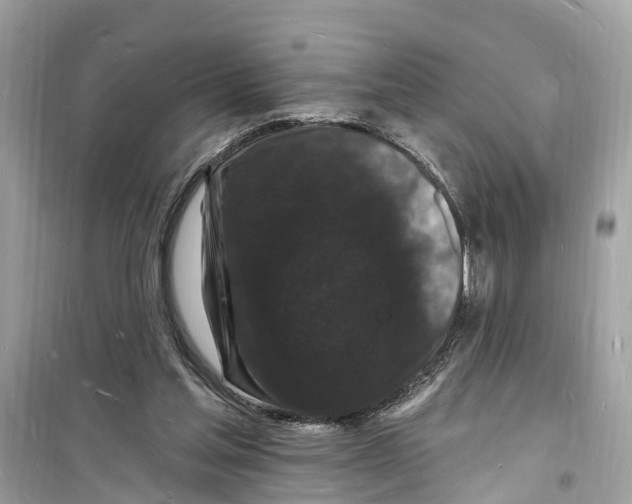 X0000098230205200805221718