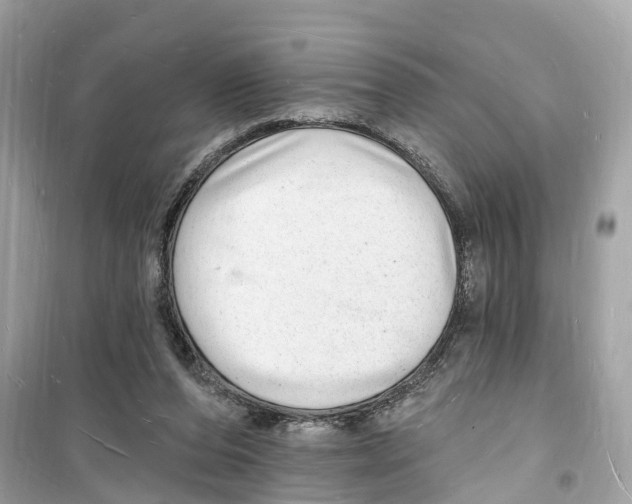 X0000098230208200805221718