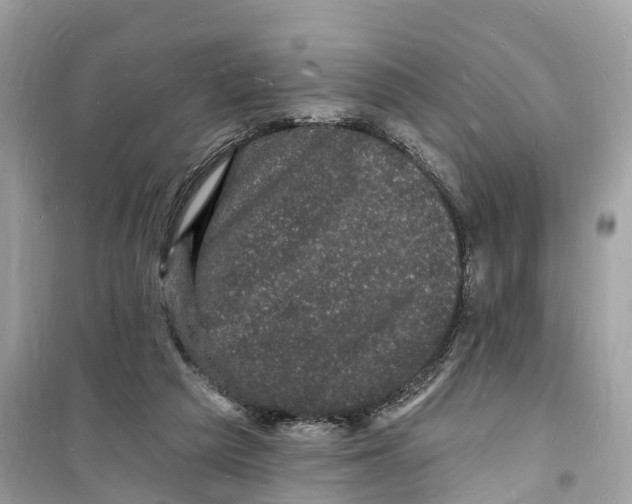 X0000098230209200805221718