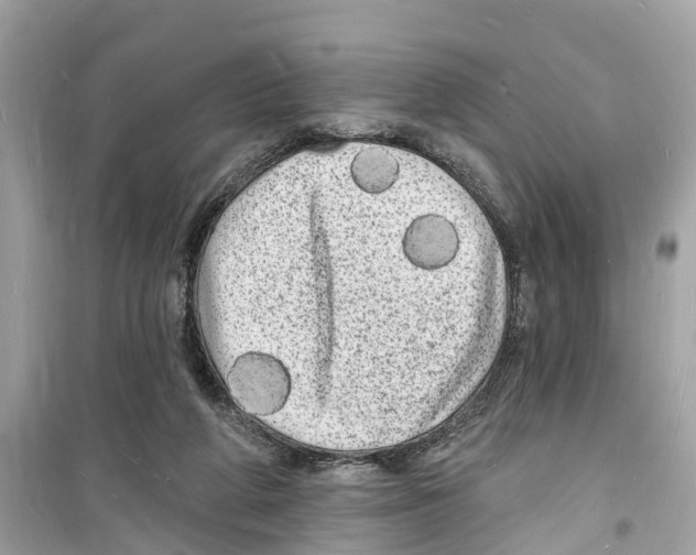 X0000098230210200805221718