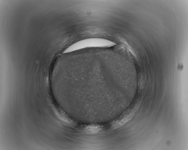 X0000098230213200805221718