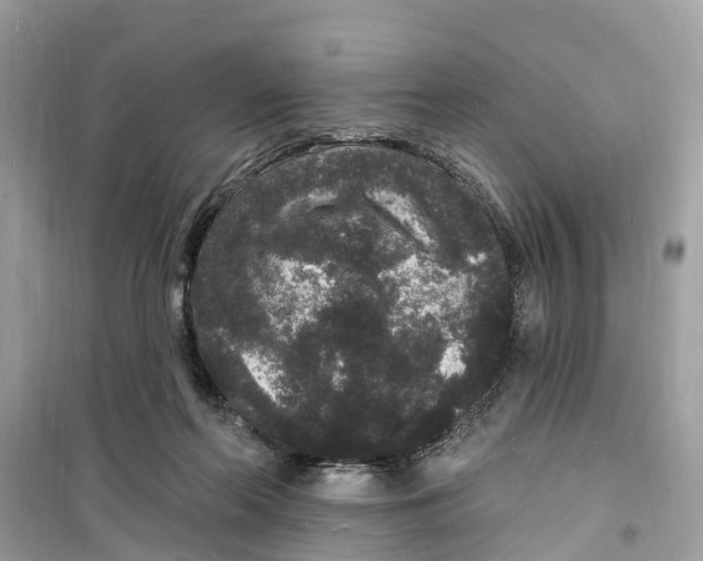 X0000098230214200805221718