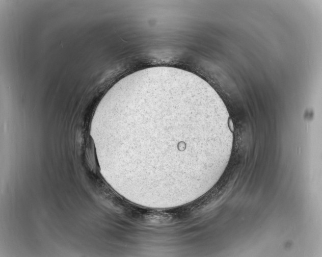 X0000098230215200805221718