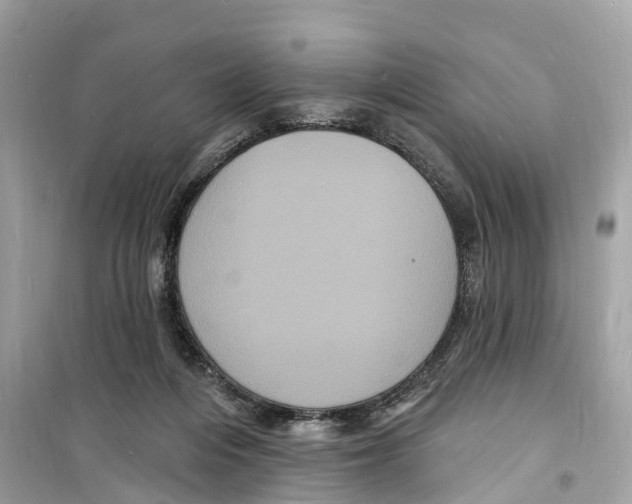 X0000098230216200805221718