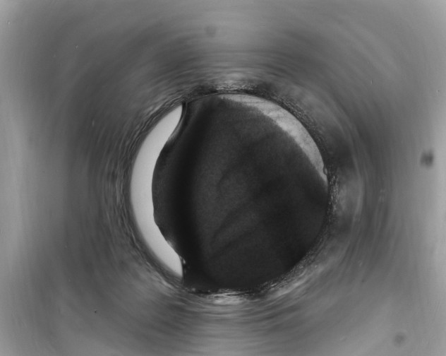 X0000098230219200805221718