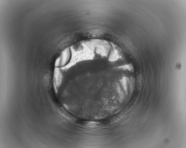 X0000098230222200805221718