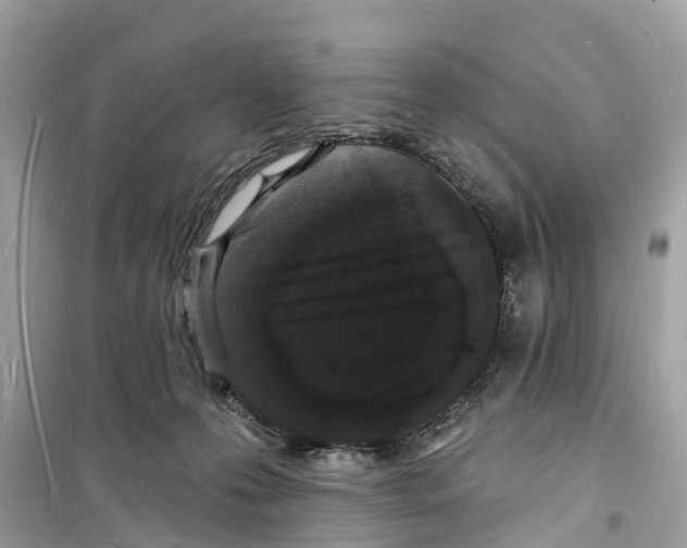 X0000098230223200805221718