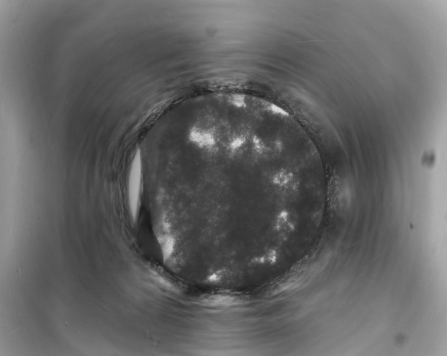 X0000098230224200805221718