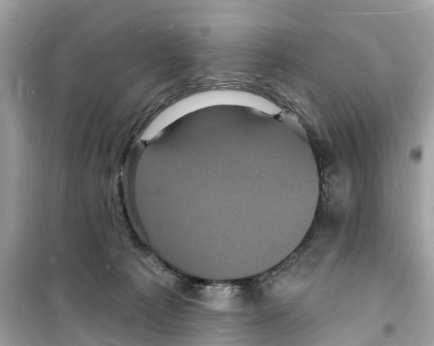 X0000098230225200805221718