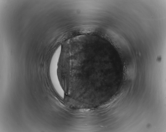 X0000098230227200805221718