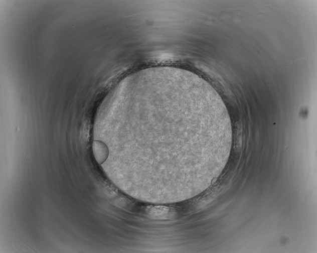 X0000098230230200805221718