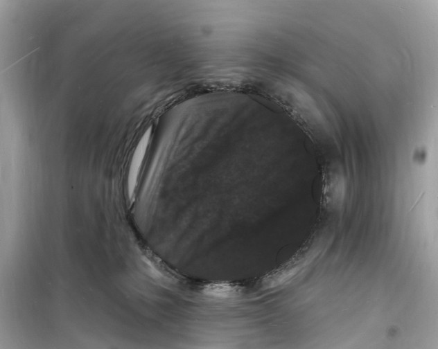 X0000098230231200805221718