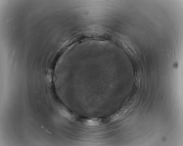 X0000098230232200805221718