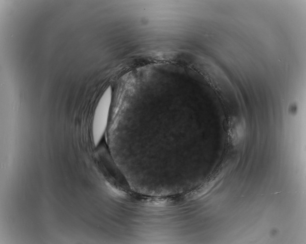 X0000098230235200805221718