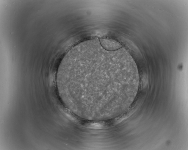 X0000098230236200805221718