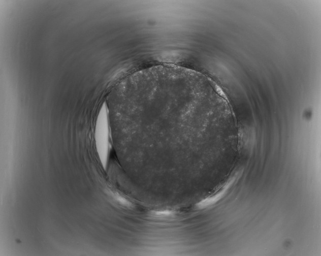 X0000098230237200805221718