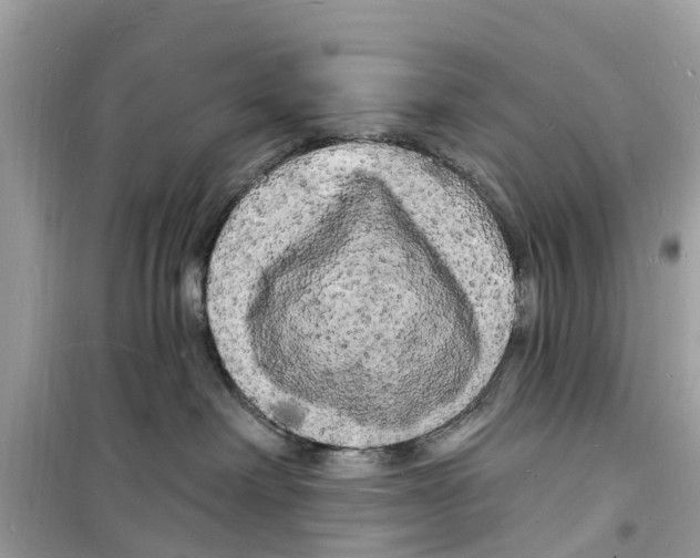 X0000098230238200805221718