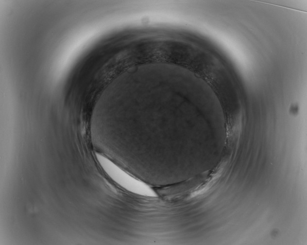 X0000098230239200805221718