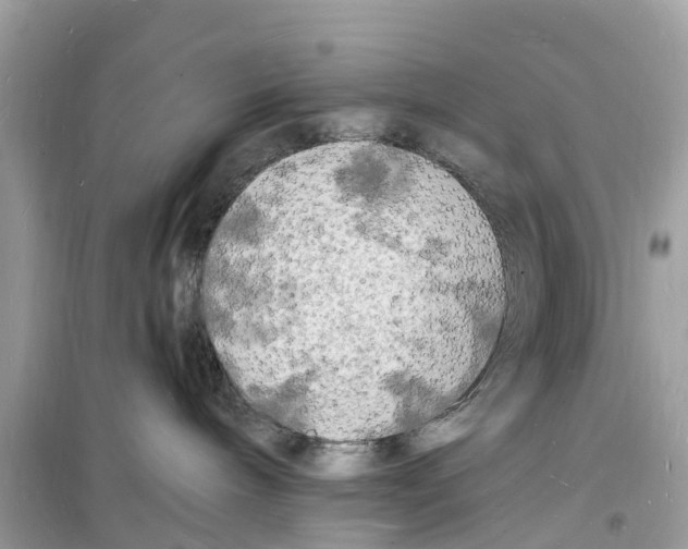 X0000098230240200805221718