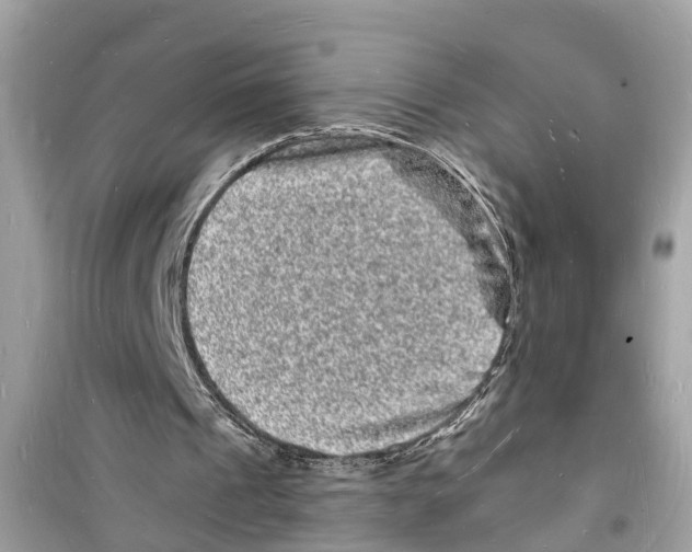 X0000098230241200805221717