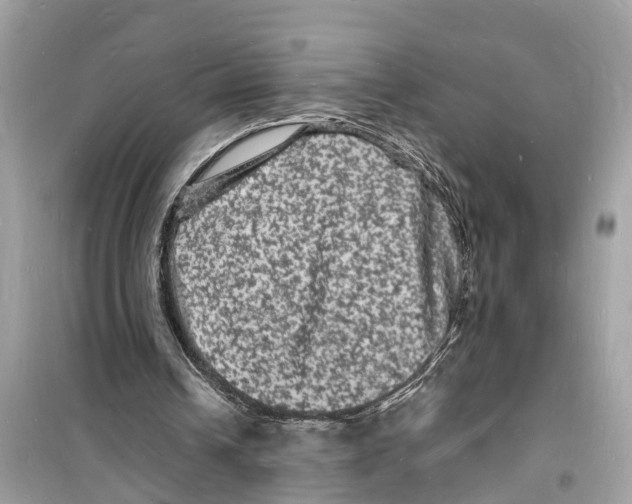 X0000098230242200805221717