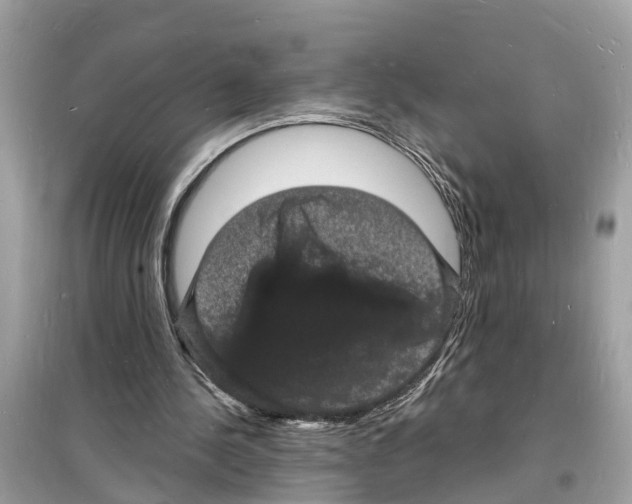 X0000098230244200805221717