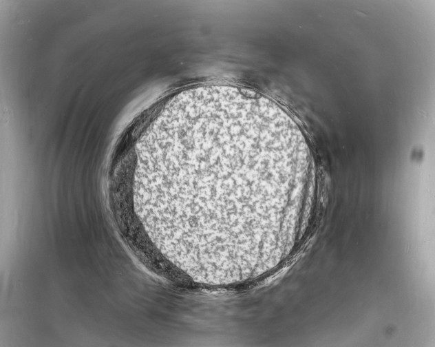 X0000098230245200805221717