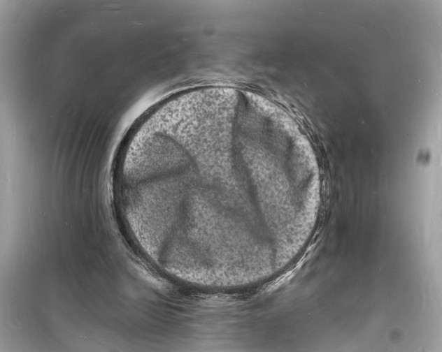 X0000098230246200805221717