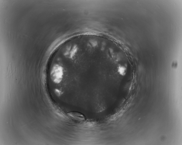 X0000098230247200805221717