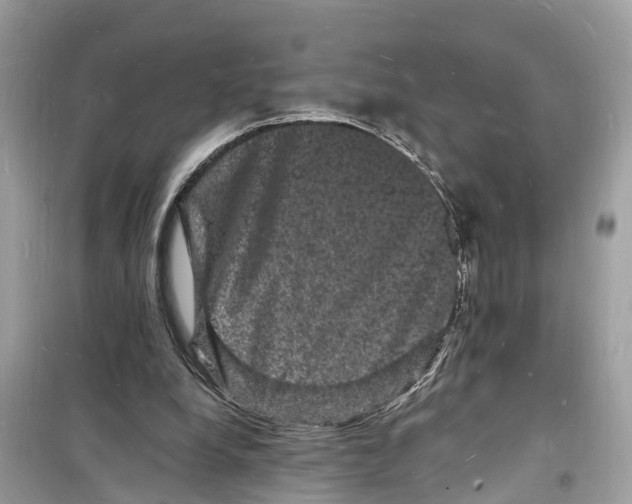 X0000098230248200805221717