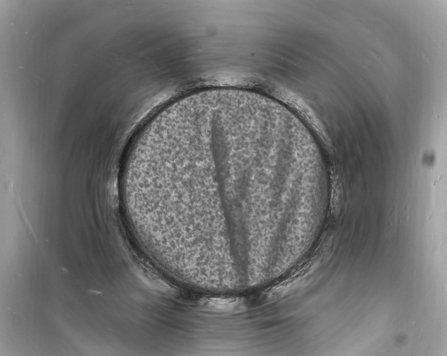 X0000098230251200805221717