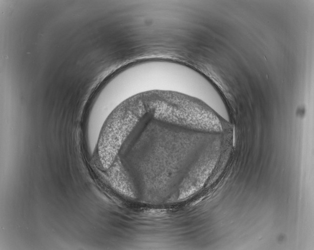 X0000098230252200805221717