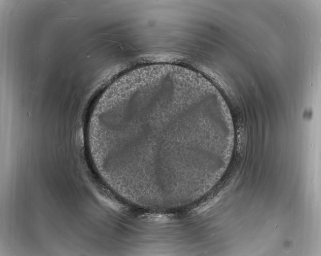 X0000098230254200805221717