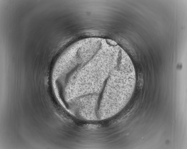 X0000098230255200805221717