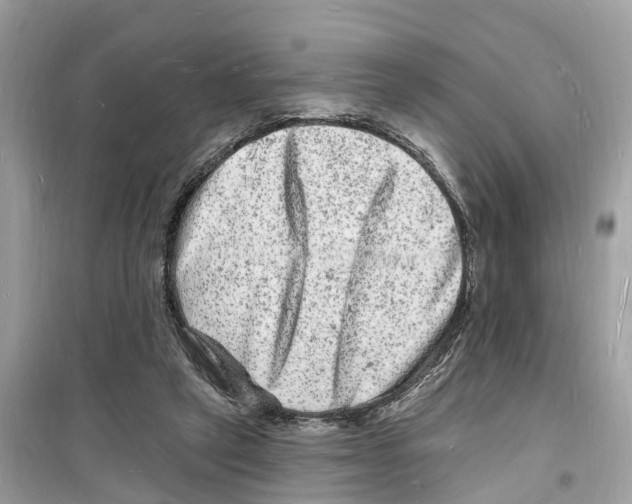 X0000098230257200805221717